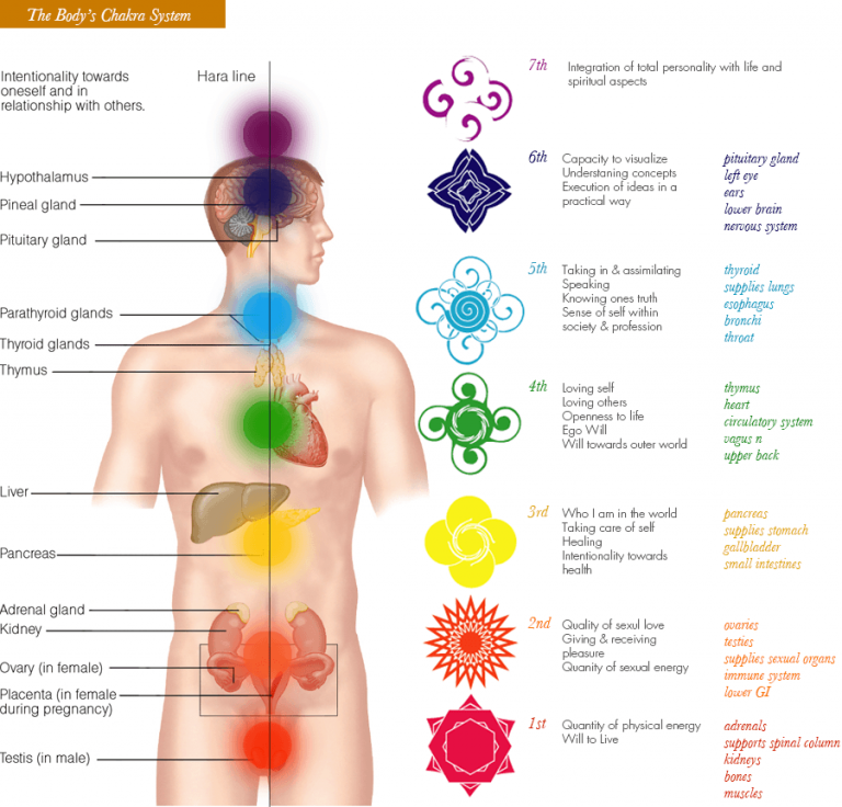 The Bodys Chakra System Natural Energy Healing 